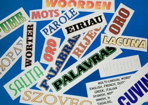 Flerspråkiga språklexikon